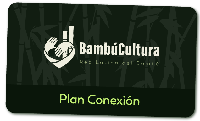 Plan Conexión - Membresia Bambúcultura