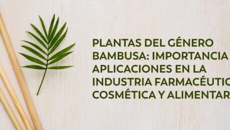 plantas de genero bambusa