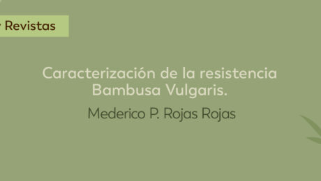 Caracterización de la resistencia Bambusa Vulgaris