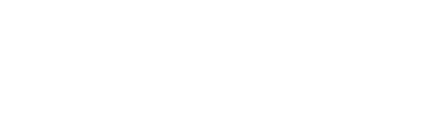 Mapache Bambú