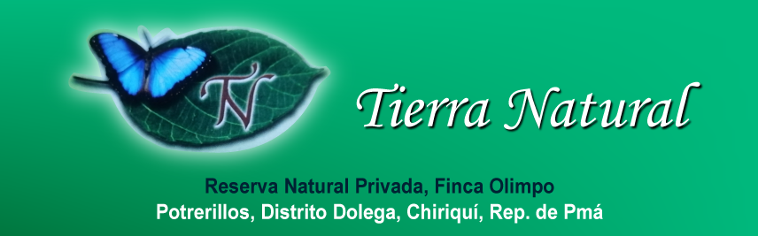 Tierra Natural