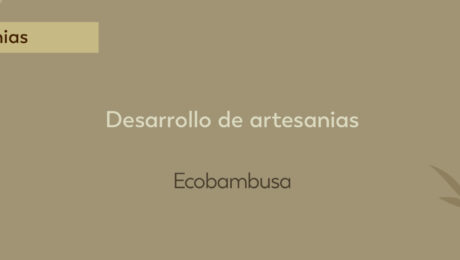 Desarrollo de Artesanías