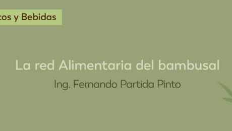 LA RED ALIMENTARIA DEL BAMBUSAL