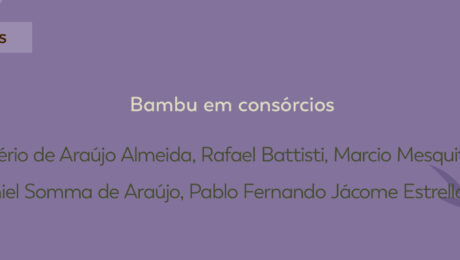 Bambu em consórcios