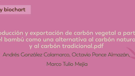 PRODUCCIÓN Y EXPORTACIÓN DE CARBÓN VEGETAL A PARTIR DEL BAMBÚ COMO UNA ALTERNATIVA AL CARBÓN NATURAL Y AL CARBÓN TRADICIONAL